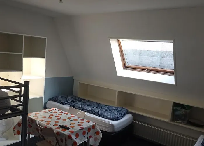 Auberge de jeunesse Pension Zevenbergen Zevenbergen